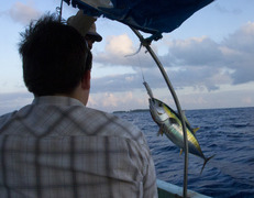 Kolejnego ranka jedni łowili TAAAAAAKIE tuńczyki!...<br> fot. Sławomir Bieniek </br>