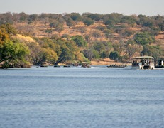 Chobe, Botswana, fot. Dominik Kruk