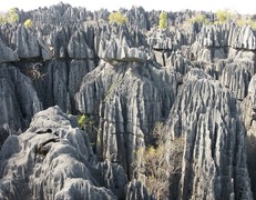 Madagaskar. Tsigny de Bemaraha