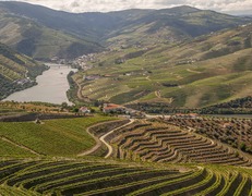 Panorama rzeki Douro fot. macz_hb/pixabay