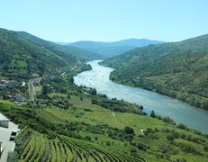 Rzeka Douro fot. Patrick Zhang18/pixabay
