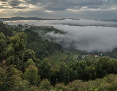 Krajobrazy Bwindi  - przepiękne góry  fot. Sławomir Bieniek