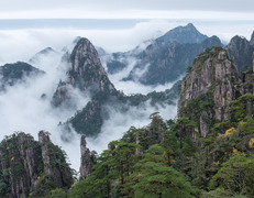 fot. Mercierzeng / pixabay