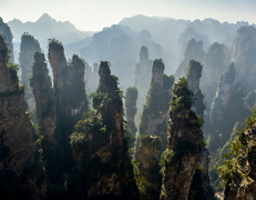 fot. Robynne O / unsplash
