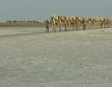 Danakil fot. Artur Urbański
