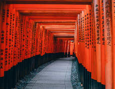 fot. Lin Mei, Unsplash