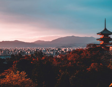 fot. Su San Lee, Unsplash