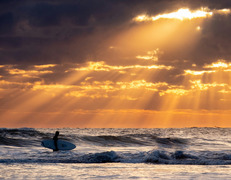 fot. Alex Green/Unsplash
