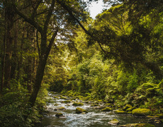fot. Casey Horner/Unsplash