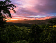 fot. Jeff Lim/Unsplash