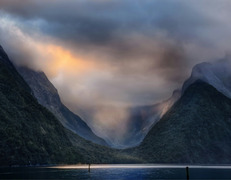 fot. Peter Hammer/Unsplash
