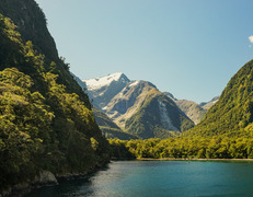 fot. Sandro Scalco/Unsplash