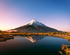 fot. Sophie Turner/Unsplash