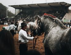 Gauchos fot. Fermin Rodriguez Penelas/Unsplash