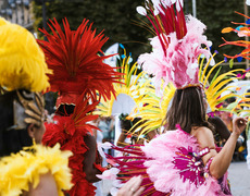 Samba fot. Venus Major/Unsplash