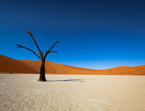 Namibia - Najpiękniejsze Twarze Afryki